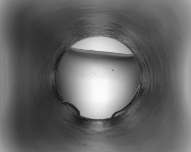 X0000088880473200706080744