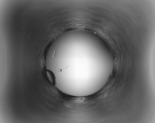 X0000088880474200706080744