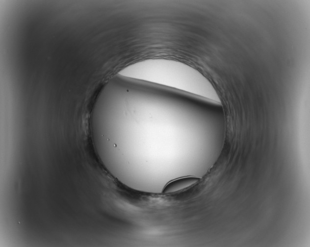 X0000088880475200706080744