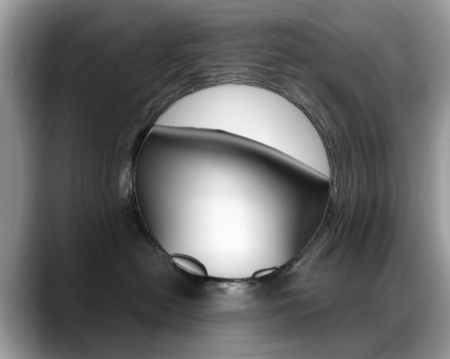 X0000088880478200706080745