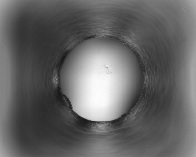 X0000088880479200706080745