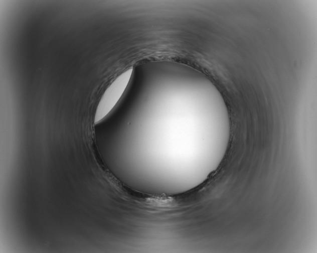 X0000088880480200706080745