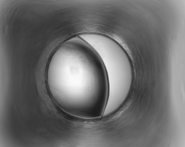X0000088880481200706080744