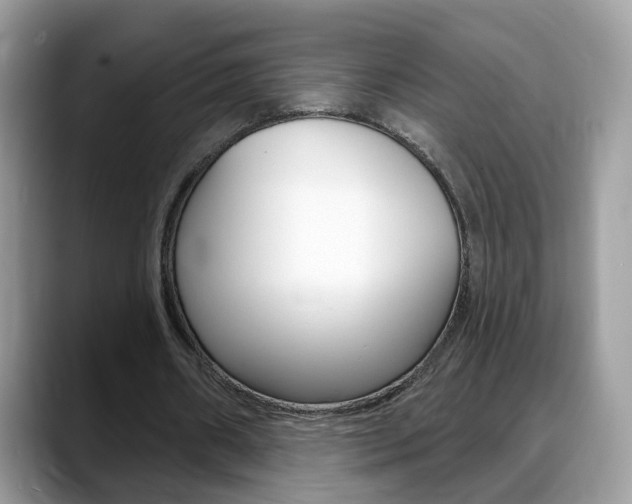 X0000088880482200706080744