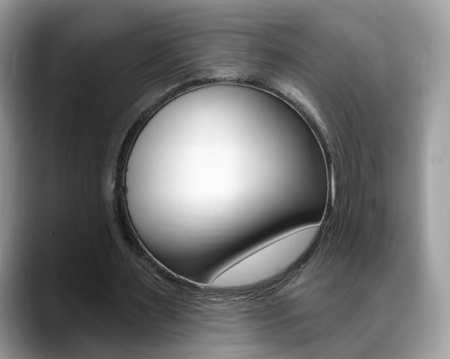 X0000088880483200706080744