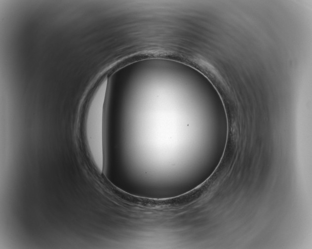 X0000088880484200706080744