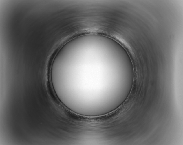 X0000088880486200706080744