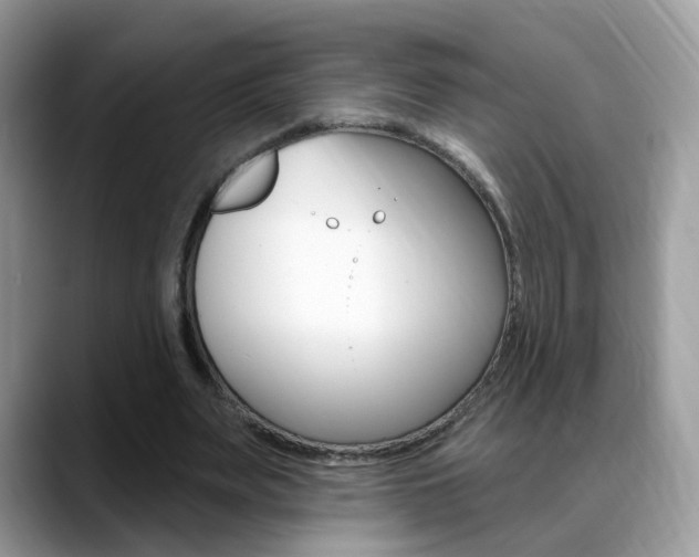 X0000088880487200706080744