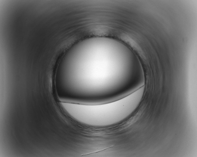 X0000088880493200706080744