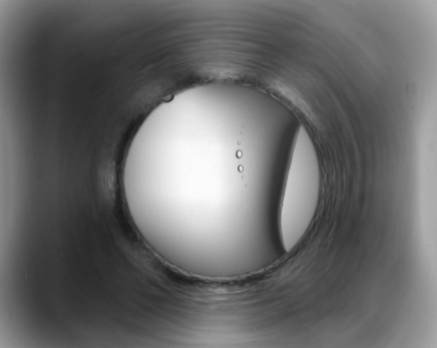 X0000088880494200706080744