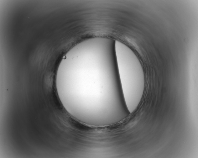 X0000088880495200706080744