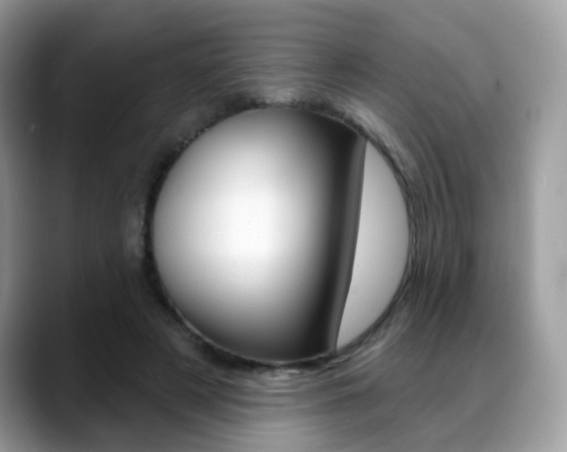 X0000088880497200706080744