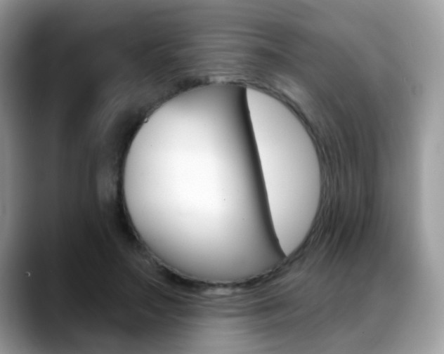 X0000088880499200706080744