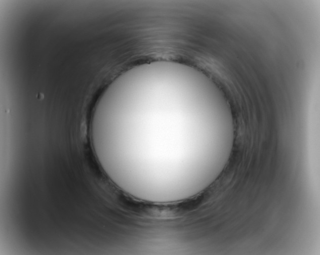 X0000088880502200706080744