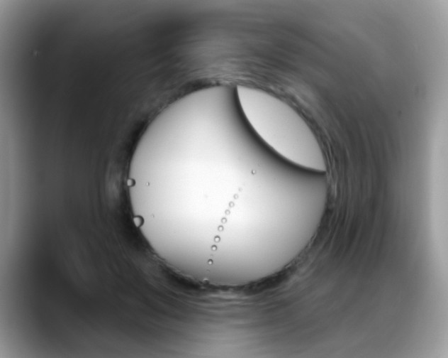 X0000088880503200706080744