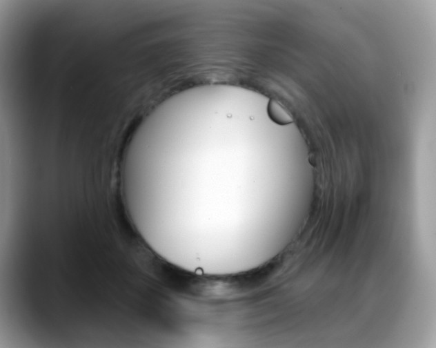 X0000088880507200706080744