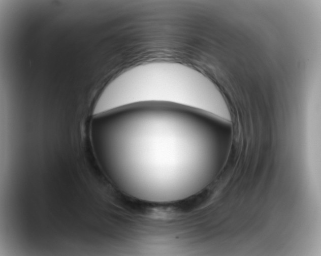 X0000088880508200706080744