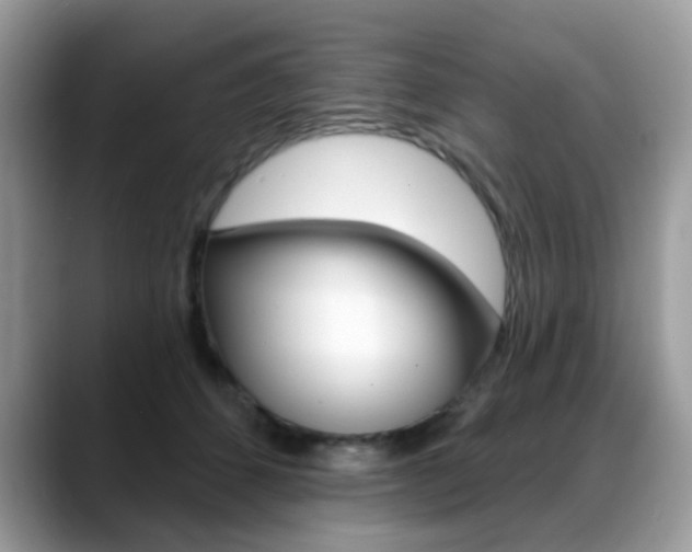 X0000088880512200706080744