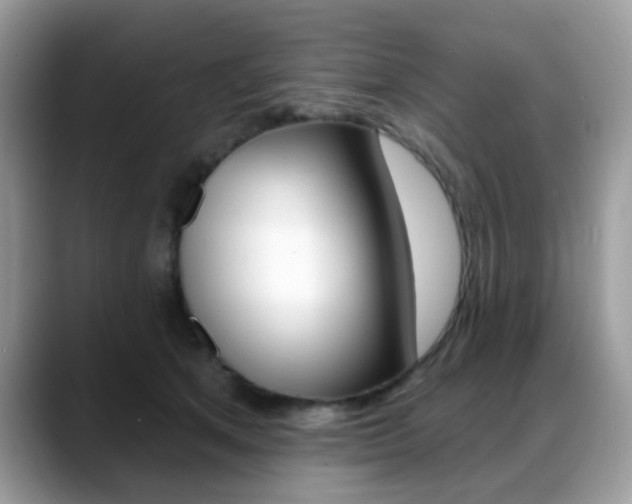 X0000088880513200706080744