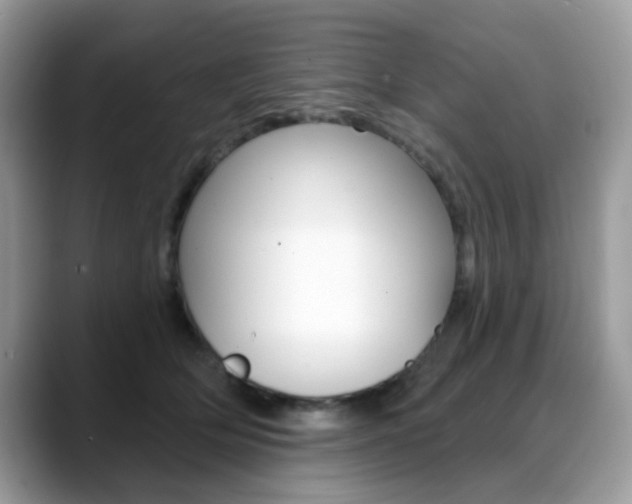 X0000088880514200706080744