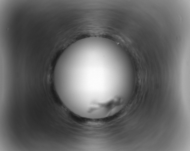 X0000088880515200706080743