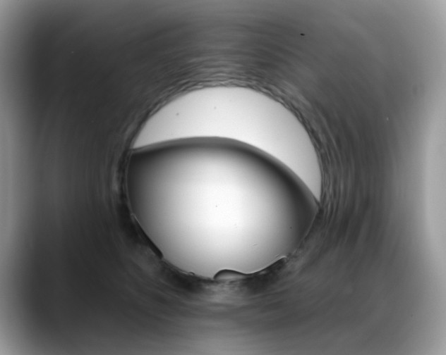 X0000088880516200706080743