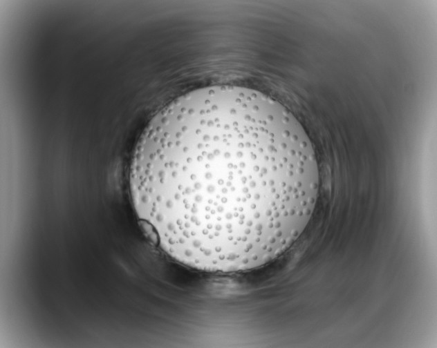 X0000088880519200706080743