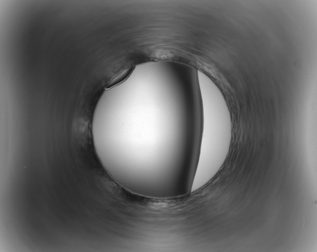 X0000088880521200706080743