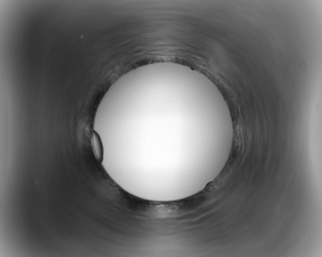 X0000088880522200706080743