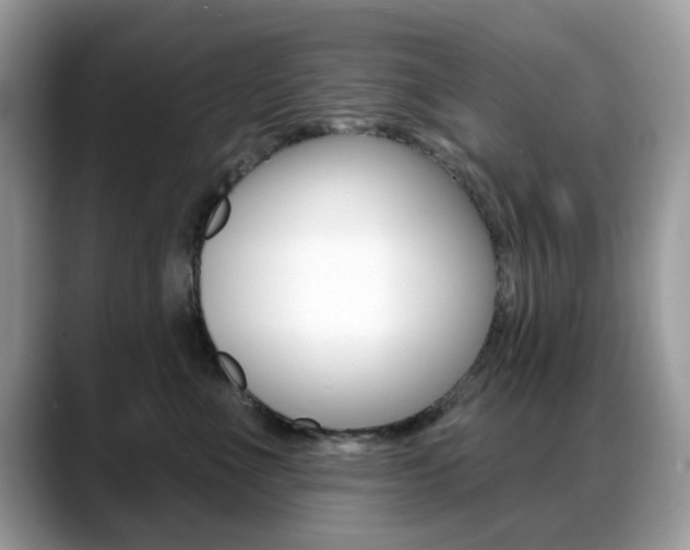 X0000088880523200706080743