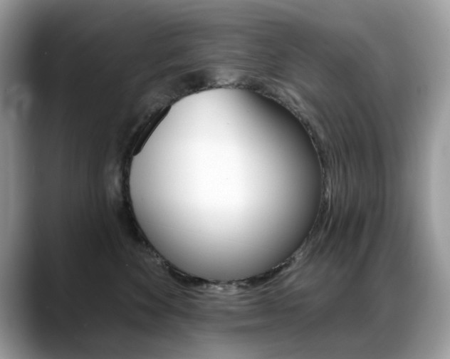 X0000088880524200706080743