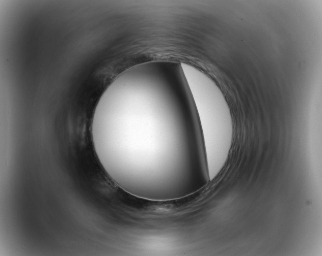 X0000088880525200706080743