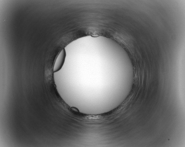 X0000088880526200706080743