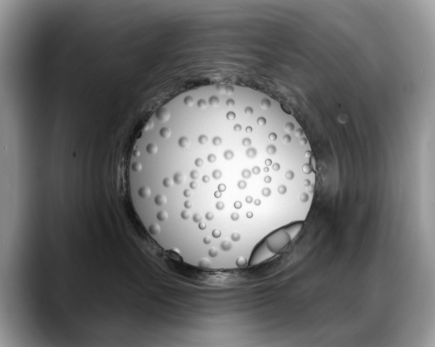 X0000088880527200706080743