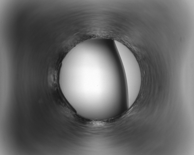 X0000088880528200706080743