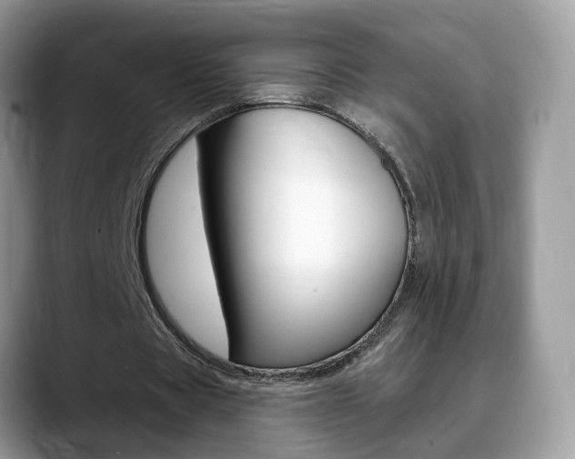 X0000088880529200706080743