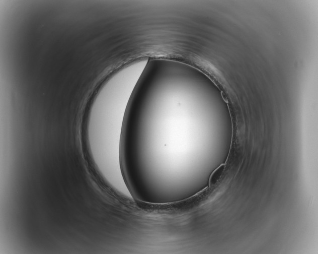 X0000088880530200706080743