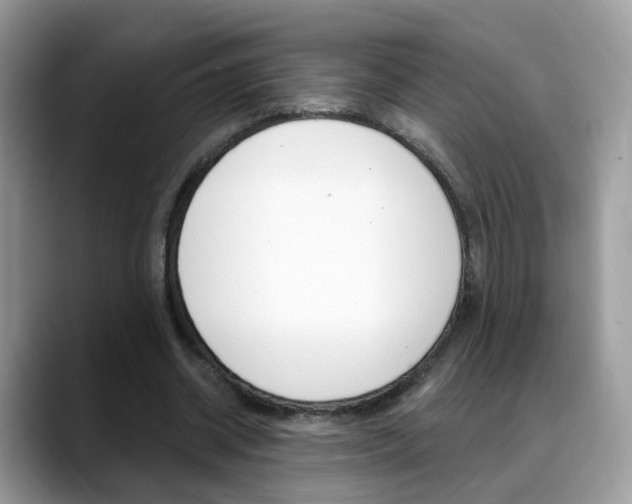 X0000088880534200706080743