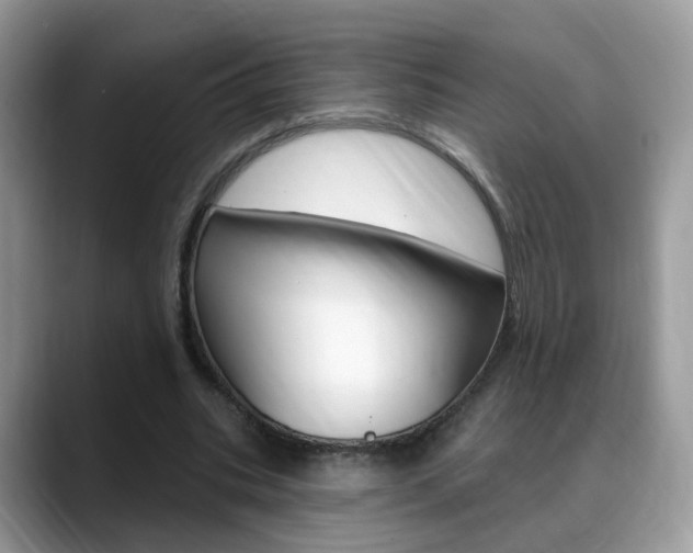 X0000088880535200706080743