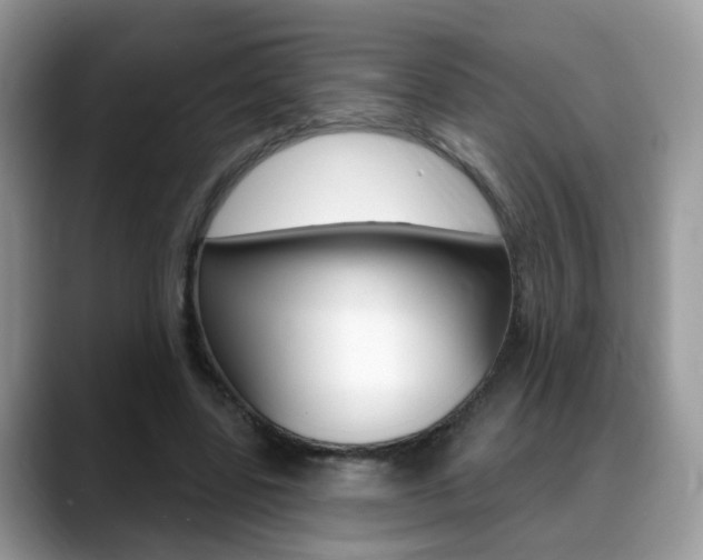 X0000088880539200706080743