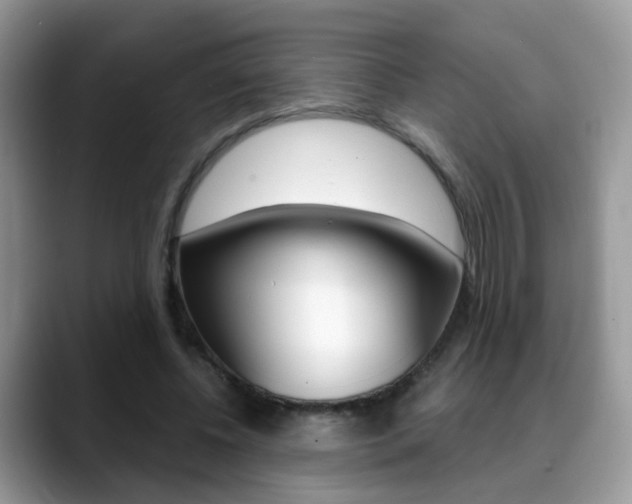 X0000088880540200706080743