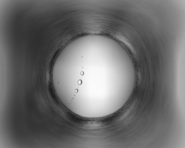 X0000088880541200706080743