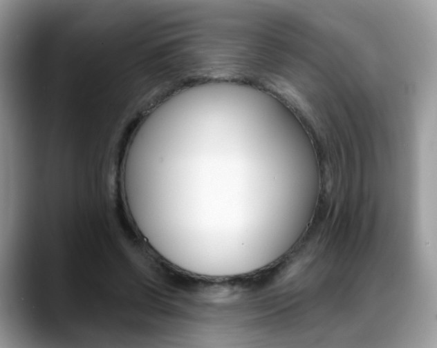 X0000088880542200706080743