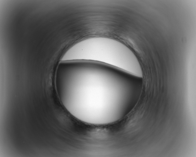 X0000088880543200706080743