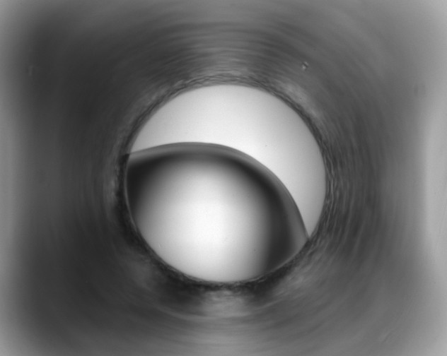 X0000088880544200706080743