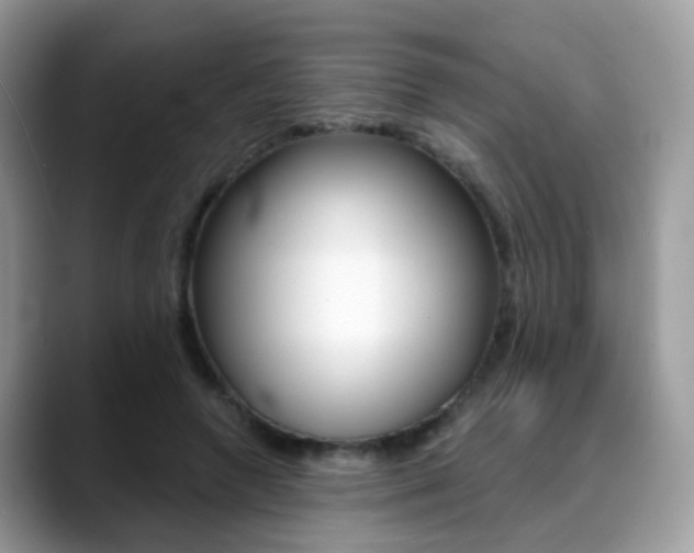 X0000088880546200706080743