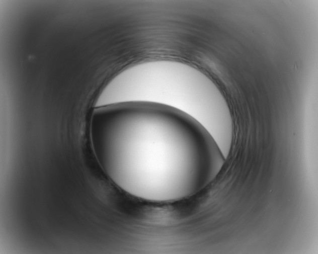X0000088880548200706080743