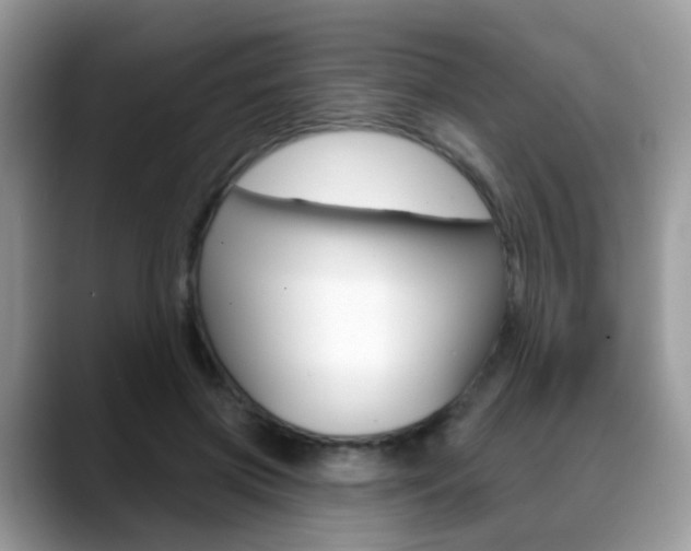 X0000088880549200706080743