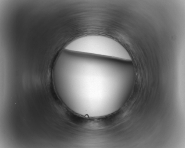X0000088880550200706080743