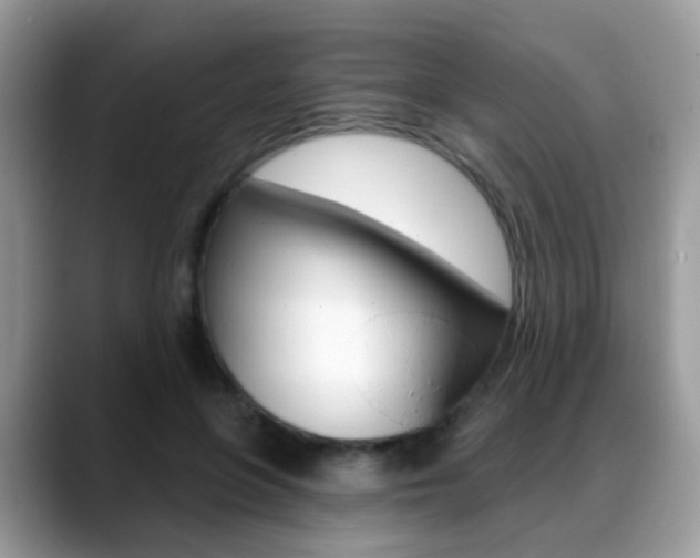 X0000088880551200706080743